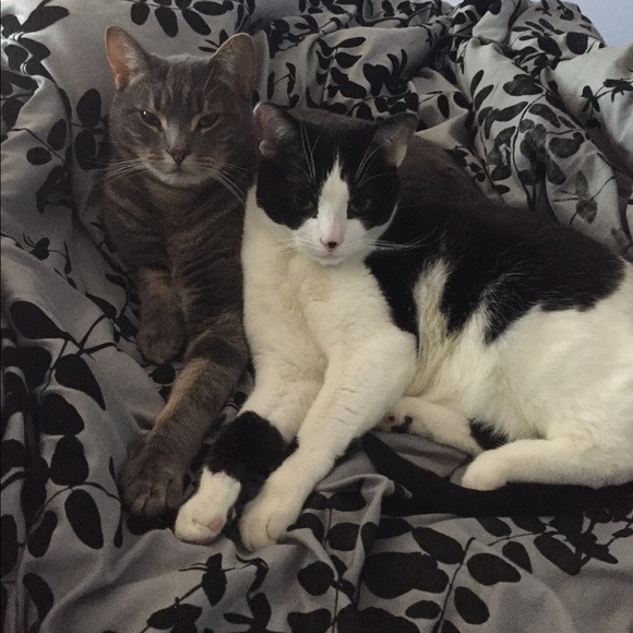 Meet your Posher, Karen - Picture 1 of 1